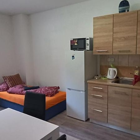 Apartman U Lebedu Lägenhet Strazny Exteriör bild