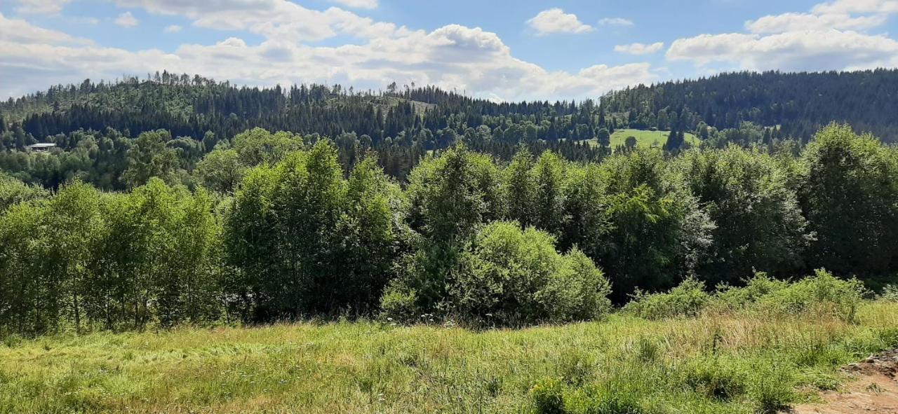 Apartman U Lebedu Lägenhet Strazny Exteriör bild